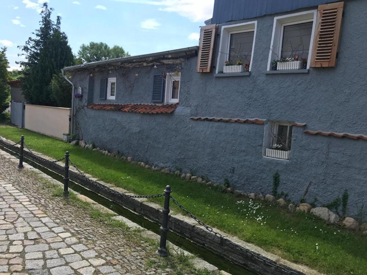 Villa Windschief Thale Exterior foto