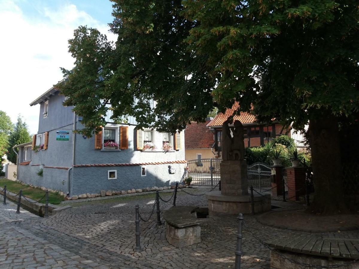 Villa Windschief Thale Exterior foto